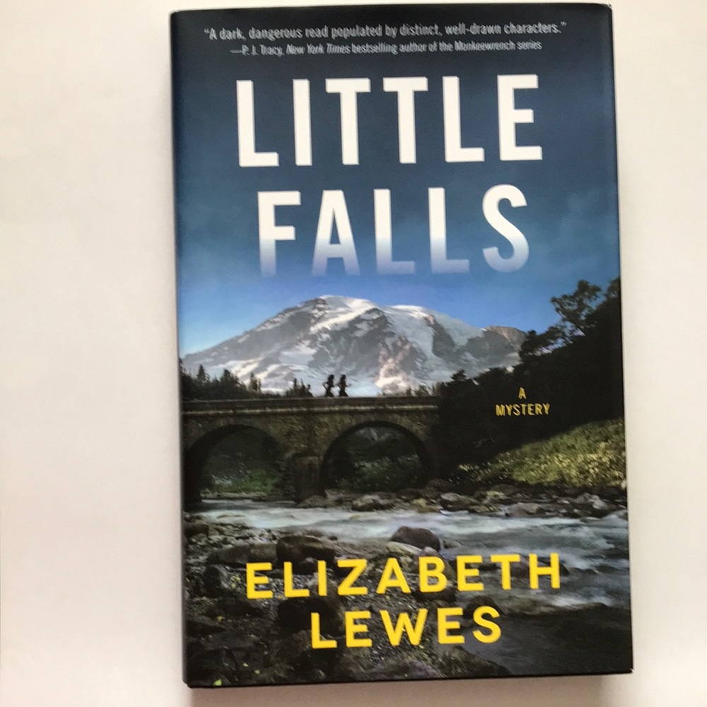 Little Falls Book Mystery by Elizabeth Lewes